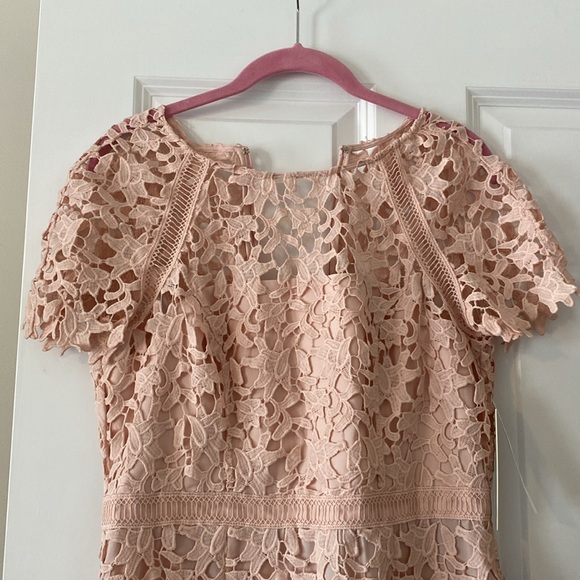 Pale pink dress with lace overlay, size 6 - Picture 2 of 2